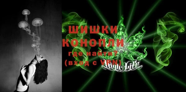 ПСИЛОЦИБИНОВЫЕ ГРИБЫ Алзамай