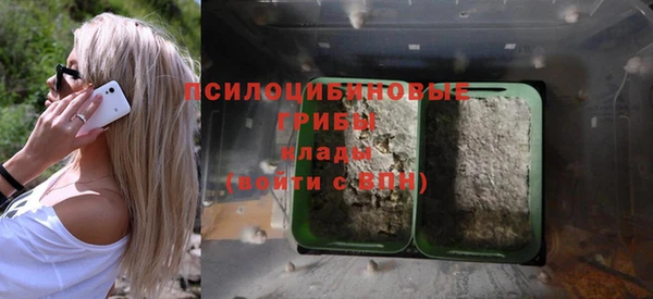 ПСИЛОЦИБИНОВЫЕ ГРИБЫ Алзамай