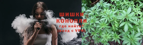 ПСИЛОЦИБИНОВЫЕ ГРИБЫ Алзамай