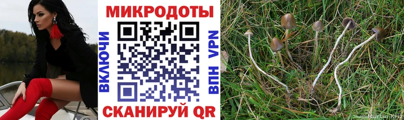 Псилоцибиновые грибы Psilocybine cubensis  где купить наркоту  Гурьевск 