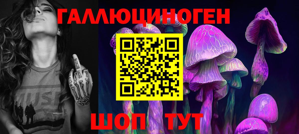 Гурьевск  Псилоцибиновые грибы Cubensis  Псилоцибиновые грибы Cubensis  сколько стоит  Вход с VPN 