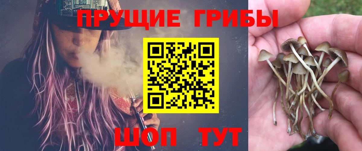 Псилоцибиновые грибы Magic Shrooms Гурьевск